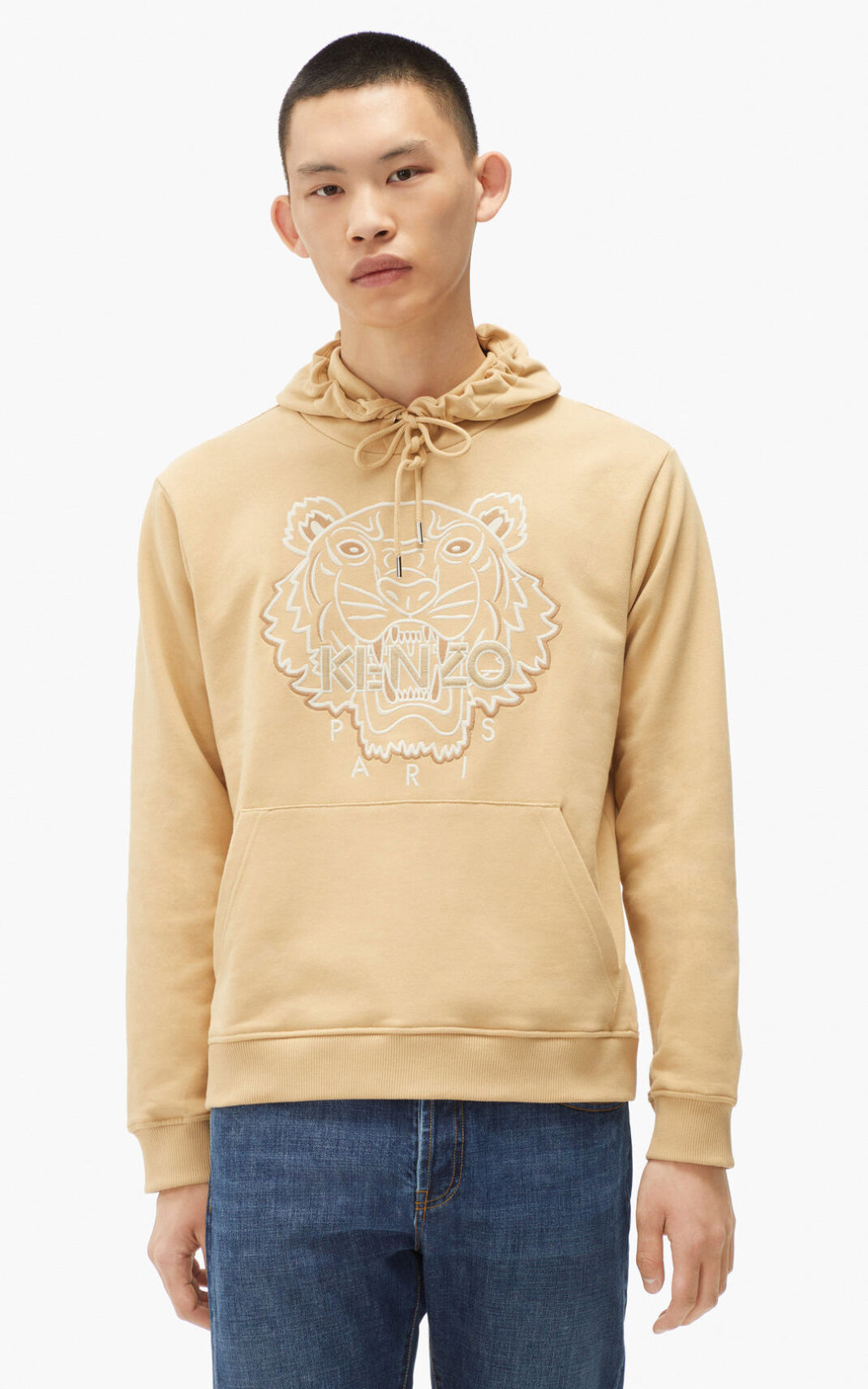 Sweat A Capuche Kenzo Tiger Homme Beige Foncé | BGDW-52739